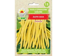 Toraf sėklos nykštukinės prancūziškos pupelės auksinė saksa