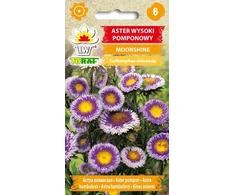 Toraf sėklos pompominis astras 0.5g