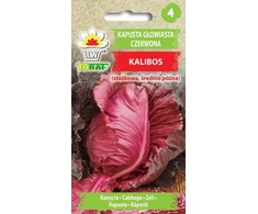 Toraf sėklos raudonųjų kopūstų Kalibos 1g