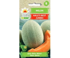 Toraf sėklos sėjamieji melionai Jumbo1g
