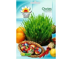 Toraf sėklos Velykinės avižos 30g