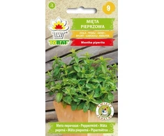 Toraf sėklų Pipirmėtė 0,1 g