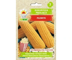 Toraf sėklų traškantys kukurūzai 20g