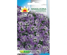 Toraf Violetinė Alyssum sėklos 0,5 g