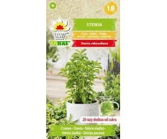 Torafo sėklų žolelių stevija 10 mg