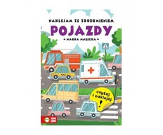 TRANSPORTO PRIEMONĖS. Ženklinu supratingai