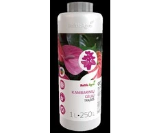 Trąšos kambario gėlėms BALTIC AGRO 1 L