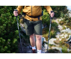 TREKKING POLES sulankstomos šiaurietiško ėjimo lazdos, skirtos žygiams po kalnus RG CAMP