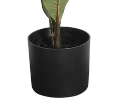 Uniglob Dirbtinė gėlė vazone 75cm krotonas