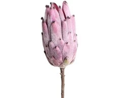 Uniglob Dirbtinė protėja violetinė