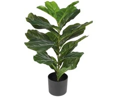 Uniglob Dirbtinis augalas vazone 70cm fikusas