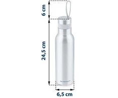 Berdsen Vakuuminis termosas 500 ml BD-787 sidabrinis