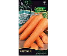 Valgomųjų morkų sėklos CORTINA H, 1 g