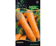 Valgomųjų morkų sėklos DARINA, 2 g