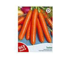 Nojus Morkų sėklos 10g Touchon