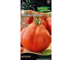 Valgomųjų pomidorų sėklos SILVANO H, 0,1 g