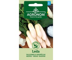 Valgomųjų ridikėlių LEDA sėklos, 3 g