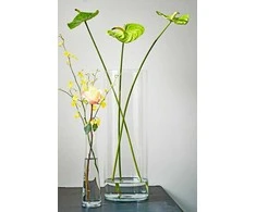 Vaza Carly Mica Ø19cm H55cm stiklinė