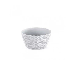Prosperplast Dekoratyvinis lėkštas gėlių vazonas Splofy D23.6cm H12.3cm plastikinis/baltas