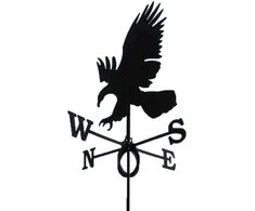 Vėjarodis Eagle Glori 2.5x65.5x61.5cm plieno