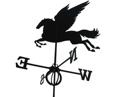 Vėjarodis Pegasus Glori 2.5x65.5x61.5cm plieno