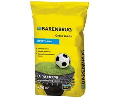 Vejos sėklos BARPOWER RPR, 1kg