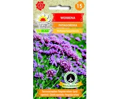 Verbenų sėklos 0.1g