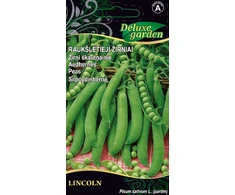 Vienamečių paprikų sėklos JALAPENO M, 0,1 g