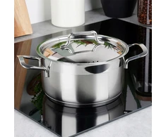 Vilde Plieninis puodas SU DANGIU 16 CM 1,9 L INDUKCINĖ INDUKCINĖ INDUKCINĖ INDUKCIJA