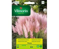 Vilmorin Argentininių kortaderijų sėklos 0.1g