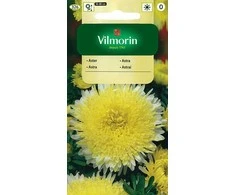 Vilmorin Astrų sėklos 0.5g