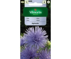 Vilmorin Astrų sėklos 0.5g Agnieszka