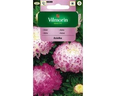 Vilmorin Astrų sėklos 0.5g Anielka