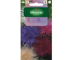 Vilmorin Astrų sėklos 0.5g