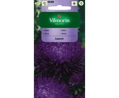Vilmorin Astrų sėklos 0.5g Lazuryt