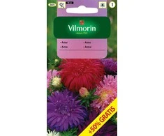 Vilmorin Astrų sėklos 1.5g Mix