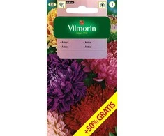 Vilmorin Astrų sėklos 1.5g Mix