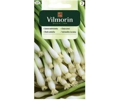 Vilmorin Didžialaiškių svogūnų sėklos 2g Freddy