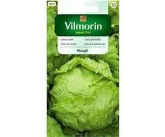 Vilmorin Gūžinių salotų sėklos 1g Maugli