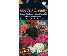 Vilmorin Gvazdikų sėklos 1g Carnation
