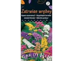 Vilmorin Karpytalapių kermėkų sėklos 0.2g Sea Lavender