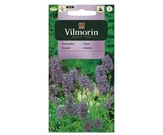 Vilmorin Katpėdžių sėklos 0.5g