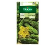Vilmorin Lauko agurkų sėklos 5grupa 1.5g Octopus F1