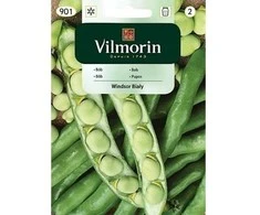 Vilmorin Lauko pupų sėklos 40g WINDSOR