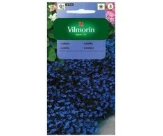Vilmorin Lobelijų sėklos 0.5g