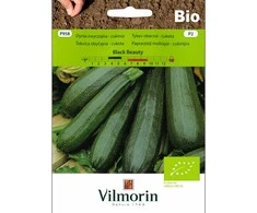 Vilmorin Moliūgų sėklos 2g Juodas BEAUTY