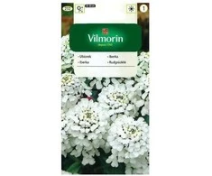 Vilmorin Rudgrūdėlių sėklos 2g
