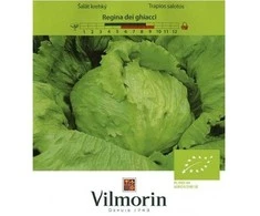 Vilmorin Salotų sėklos 1g Regina dei ghiacci