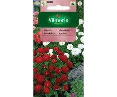 Vilmorin Saulučių sėklos 0.1g