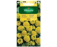 Vilmorin Serenčių sėklos 0.5g Cupido